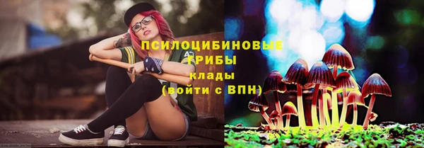 метадон Верея