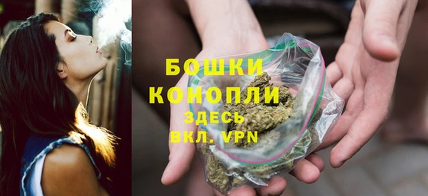 крисы Верхний Тагил