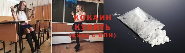 крисы Верхний Тагил