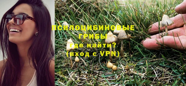 метадон Верея