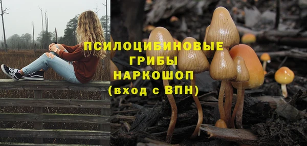 шишки Верхнеуральск