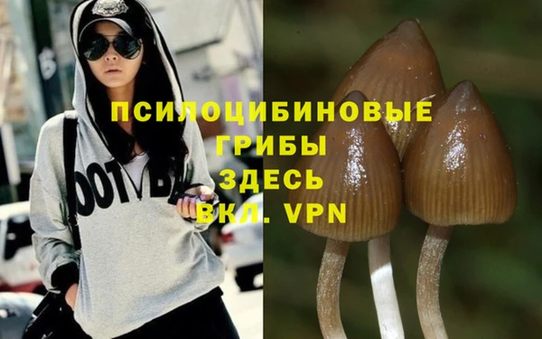 шишки Верхнеуральск