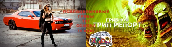 метадон Верея