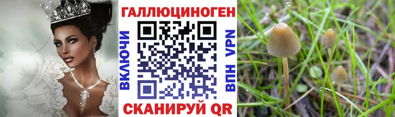 Купить где  Приморск  Галлюциногенные грибы Magic Shrooms 