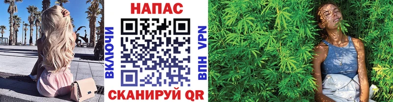 Бошки Шишки тримм  Купить закладки  Приморск 